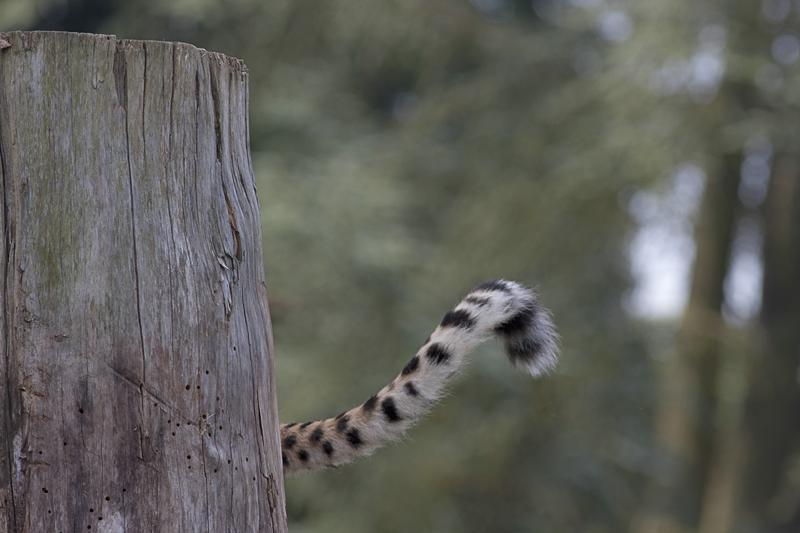 Cjp_2011_08_02_075306 (2).jpg